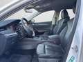 Skoda Octavia Combi 1.4 TSI iV First Edition Standheiz Weiß - thumbnail 12