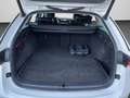 Skoda Octavia Combi 1.4 TSI iV First Edition Standheiz Weiß - thumbnail 15