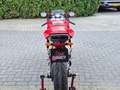 Ducati 749 Sport Bip/Mono Termignoni uitlaat. Carbon. Open ko Piros - thumbnail 6
