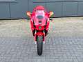 Ducati 749 Sport Bip/Mono Termignoni uitlaat. Carbon. Open ko Rouge - thumbnail 24