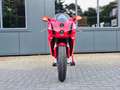 Ducati 749 Sport Bip/Mono Termignoni uitlaat. Carbon. Open ko Rouge - thumbnail 29