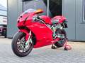 Ducati 749 Sport Bip/Mono Termignoni uitlaat. Carbon. Open ko Piros - thumbnail 7