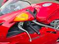 Ducati 749 Sport Bip/Mono Termignoni uitlaat. Carbon. Open ko Rouge - thumbnail 17