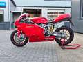 Ducati 749 Sport Bip/Mono Termignoni uitlaat. Carbon. Open ko Rouge - thumbnail 21