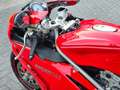 Ducati 749 Sport Bip/Mono Termignoni uitlaat. Carbon. Open ko Piros - thumbnail 14