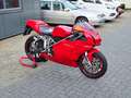Ducati 749 Sport Bip/Mono Termignoni uitlaat. Carbon. Open ko Rouge - thumbnail 23
