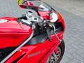 Ducati 749 Sport Bip/Mono Termignoni uitlaat. Carbon. Open ko Piros - thumbnail 15