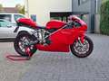 Ducati 749 Sport Bip/Mono Termignoni uitlaat. Carbon. Open ko Piros - thumbnail 3