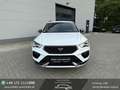 CUPRA Ateca Basis 4Drive Pano SHZ Tempo AppleCar Blanc - thumbnail 2