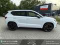 CUPRA Ateca Basis 4Drive Pano SHZ Tempo AppleCar Blanc - thumbnail 6