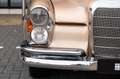 Mercedes-Benz S 250 SE W111 Cabriolet Beige - thumbnail 27