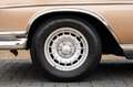 Mercedes-Benz S 250 SE W111 Cabriolet Beżowy - thumbnail 12