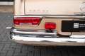 Mercedes-Benz S 250 SE W111 Cabriolet Beige - thumbnail 42