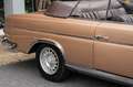 Mercedes-Benz S 250 SE W111 Cabriolet Beige - thumbnail 26