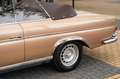 Mercedes-Benz S 250 SE W111 Cabriolet Beżowy - thumbnail 14