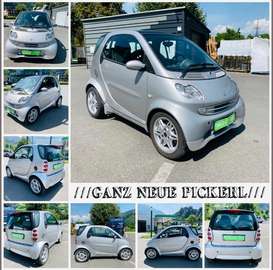 SMART MIT KLIMA NUR EXPORT PANORAMADACH