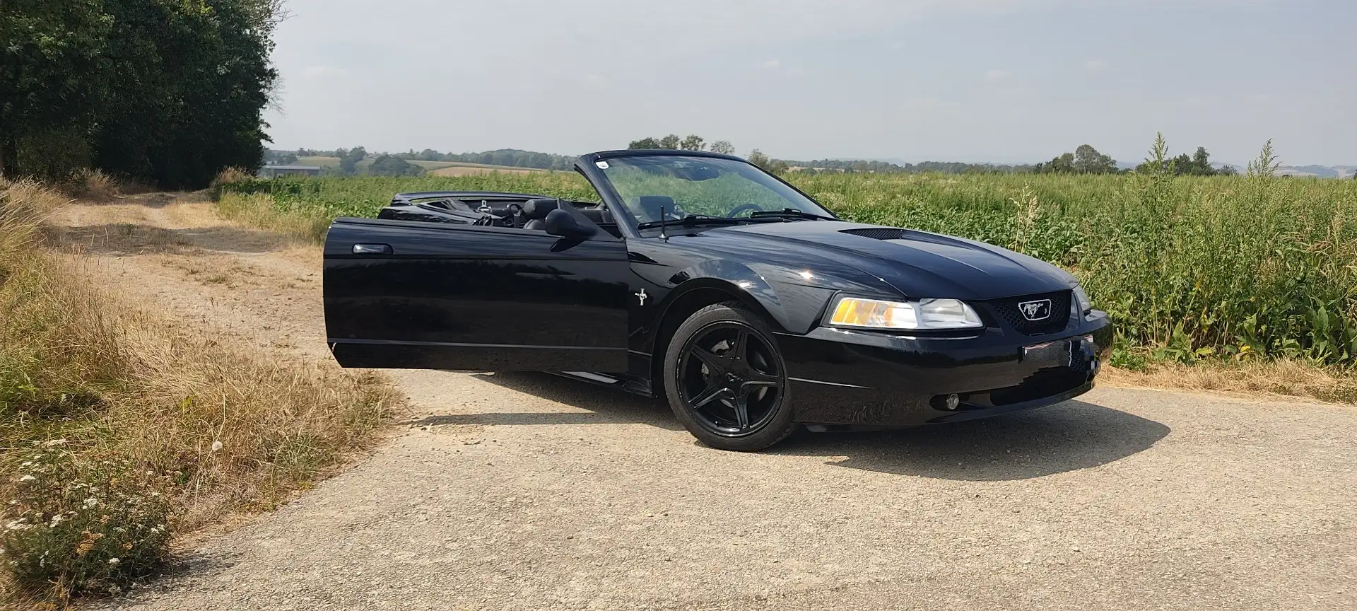 Ford Mustang Cabrio Schwarz - 2