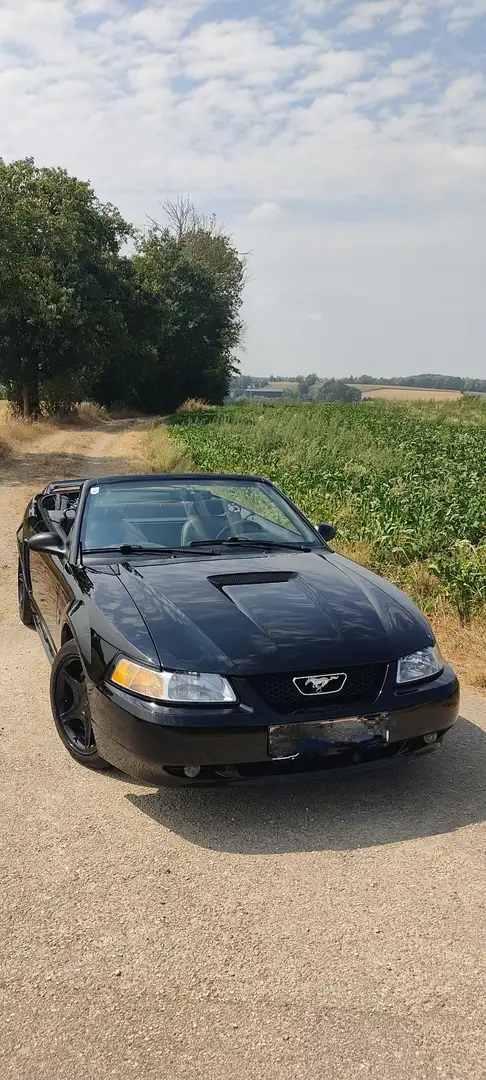 Ford Mustang Cabrio Schwarz - 1