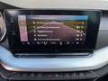 Skoda Octavia Combi TDI Amb. DSG, AHV, ACC, Virtual, Teileder Grau - thumbnail 13