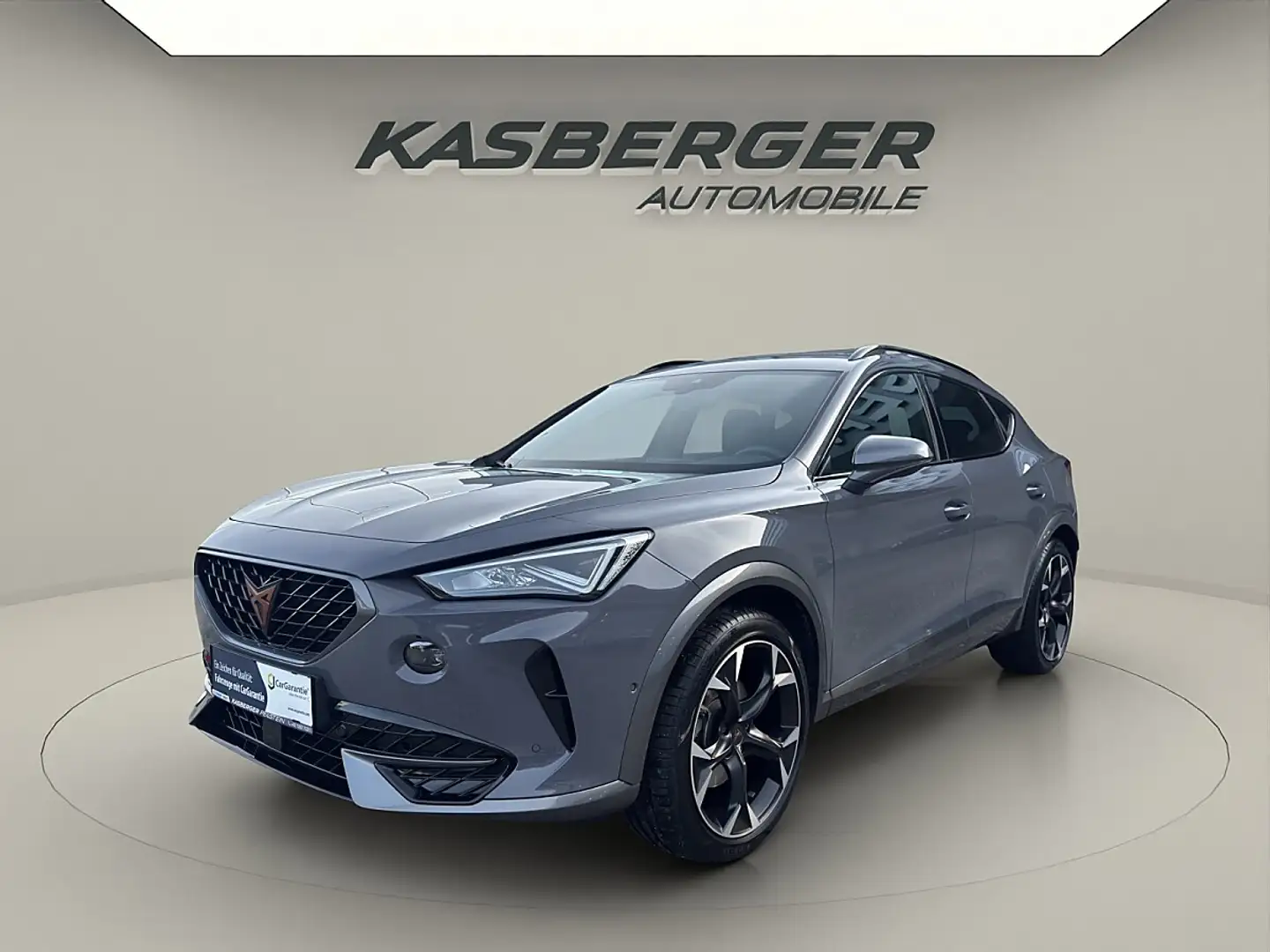 CUPRA Formentor 1,5 TSI Cupra DSG*Garantie*Kamera*19 ZOLL* Grau - 1