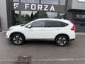 Honda CR-V 1.6 i-DTEC 4WD Executive Navi Blanc - thumbnail 3