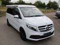 Mercedes-Benz Marco Polo V 250 Marco Polo Edition Küche Markise LED AHK Alb - thumbnail 7