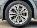 Volkswagen Passat Alltrack Passat 2.0 TDI BiTurbo DSG 4Mo. Variant Alltrack Grau - thumbnail 28