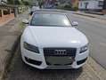 Audi A5 Cabrio 2.0 TDI exclusive s-line Biały - thumbnail 5