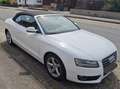 Audi A5 Cabrio 2.0 TDI exclusive s-line Biały - thumbnail 4