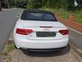 Audi A5 Cabrio 2.0 TDI exclusive s-line Biały - thumbnail 3