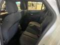 Lancia Ypsilon Ypsilon IV 2024 1.2 mhev LX 110cv e-dct Bianco - thumbnail 9