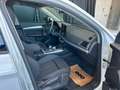 Audi Q5 40 TDI quattro basis Weiß - thumbnail 14