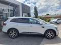 Renault Koleos TCe 160 2WD EDC Intens Aut. Weiß - thumbnail 4