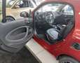 smart forTwo coupe EQ pulse - thumbnail 3