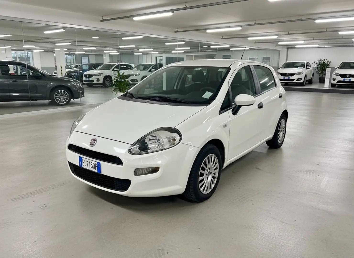 Fiat Punto 1.2 5P Street E6 UNIPRO' - NEOPATENTATO KM 90MILA Weiß - 1