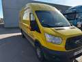 Ford Transit Transit 310 L3H2 Lkw VA Trend Jaune - thumbnail 9