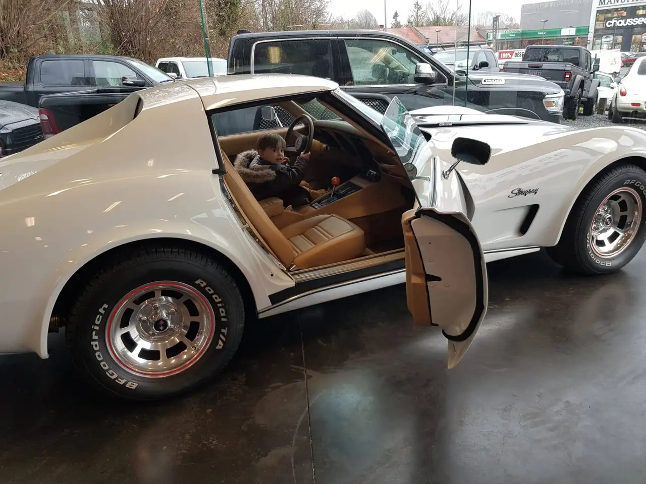Corvette C3 Stingray, foto 2