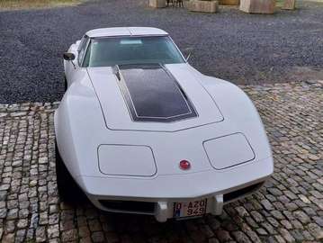 Stingray