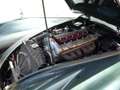 Jaguar XK 140 SE Cabriolet - die schnelle Raubkatze Zielony - thumbnail 7