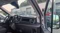 Ford Transit Kasten 2,0 EcoBlue L2H2 350 Trend Aut. Silber - thumbnail 13