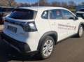 Suzuki S-Cross S-Cross 1.4 Boosterjet Hybrid Edition Білий - thumbnail 5