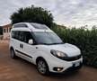 Fiat Doblo Doblò TETTO ALTO TRASPORTO DISABILI EURO6 Bianco - thumbnail 9