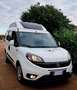 Fiat Doblo Doblò TETTO ALTO TRASPORTO DISABILI EURO6 Bianco - thumbnail 10