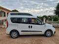 Fiat Doblo Doblò TETTO ALTO TRASPORTO DISABILI EURO6 Bianco - thumbnail 14