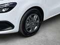 Mercedes-Benz Citan Tourer Pro 112 CDI Aut. Bílá - thumbnail 6