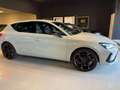 CUPRA Leon 1.5 e-Hybrid 204 CV DSG Bianco - thumbnail 7