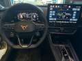 CUPRA Leon 1.5 e-Hybrid 204 CV DSG Bianco - thumbnail 14