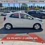 Kia Picanto Picanto 1.0 12V GPL 5 porte Urban Blanc - thumbnail 4