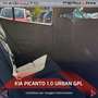 Kia Picanto Picanto 1.0 12V GPL 5 porte Urban Blanc - thumbnail 14