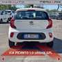 Kia Picanto Picanto 1.0 12V GPL 5 porte Urban Blanc - thumbnail 16